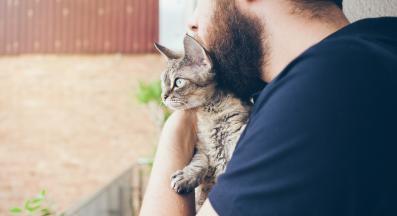 котка и стопанин