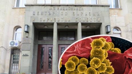 скарлатина