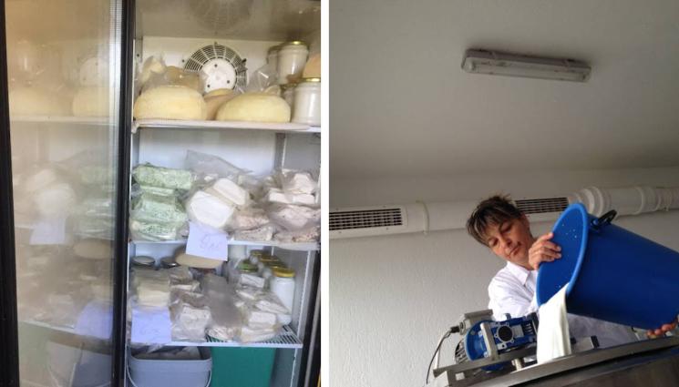 мляко - Агро Телеграф: Залива ни вълна от полско мляко