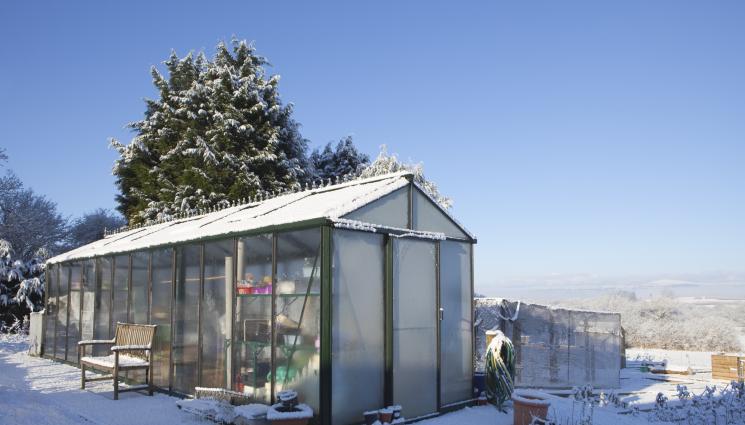 парник - Агро Телеграф: Топлим парника с чаени свещи