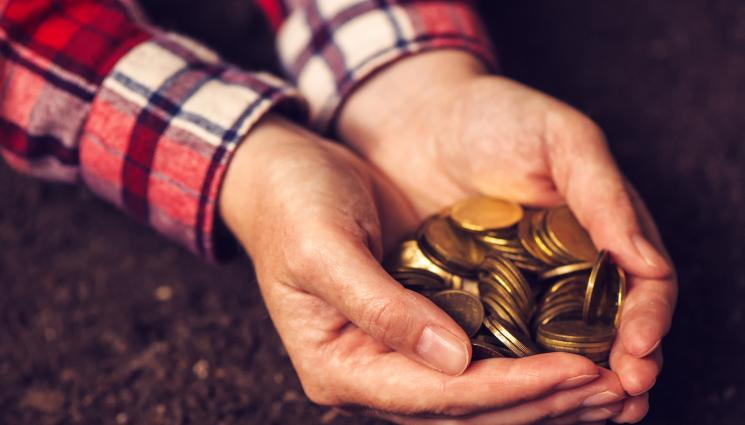 земеделци пари помощи - Агро Телеграф: Земеделци избират как да облагат доходите си до 31 декември