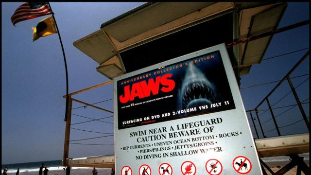 Спилбърг се извини за изтребването на акулите след филма му „Челюсти“