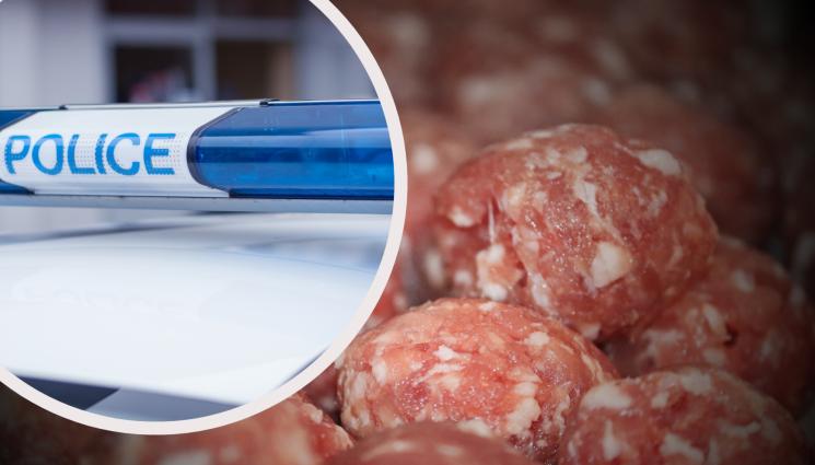 кюфтета - ГЛАД, МАЙКА ГЛАД! Задигнаха замразени кюфтета и кебапчета от заведение