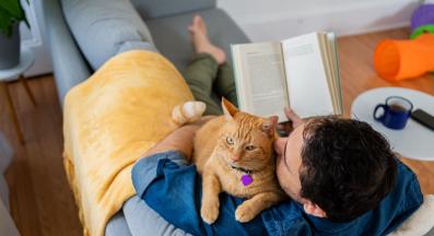 котка и собственик