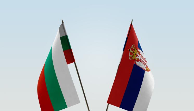 Сърбия България - СКАНДАЛНО! Заместник-председател на сръбския СЕМ: Българите са чистокръвни сърби