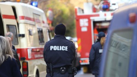 пожар лозенец