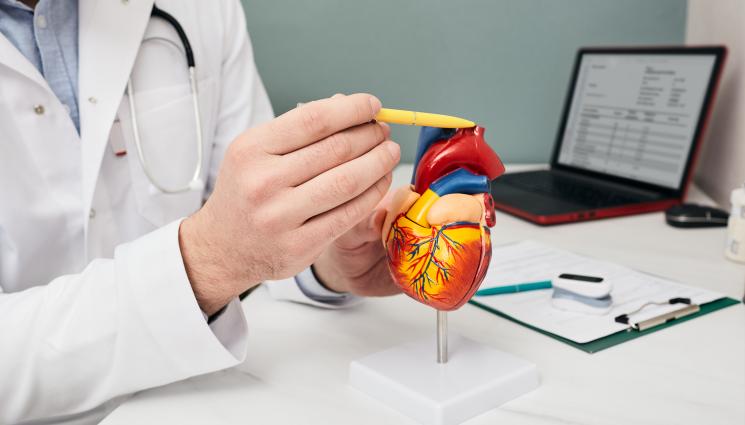 сърце - Нов метод сменя пейсмейкъра