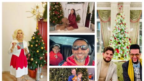 звезди коледа