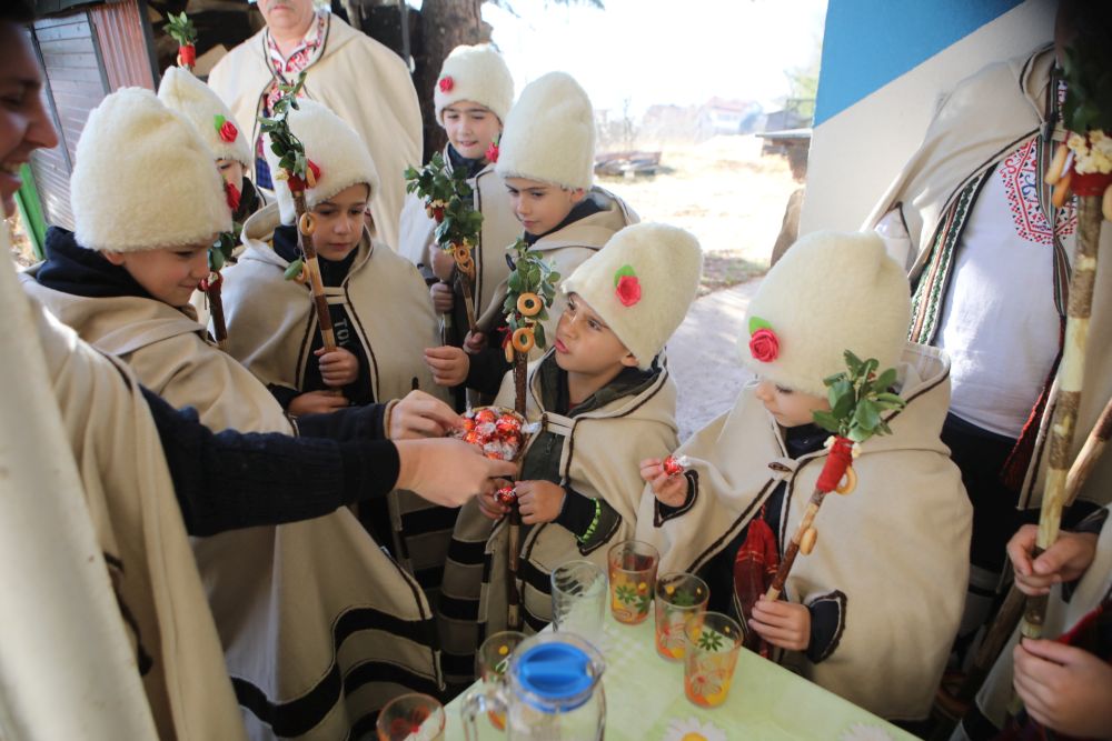 Коледари