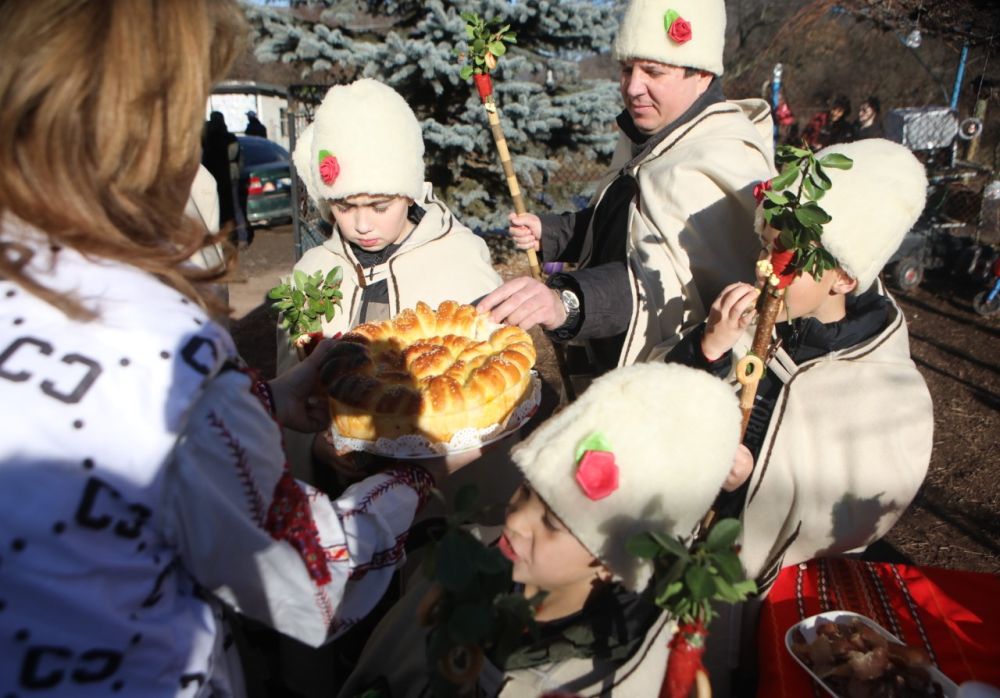 Коледари