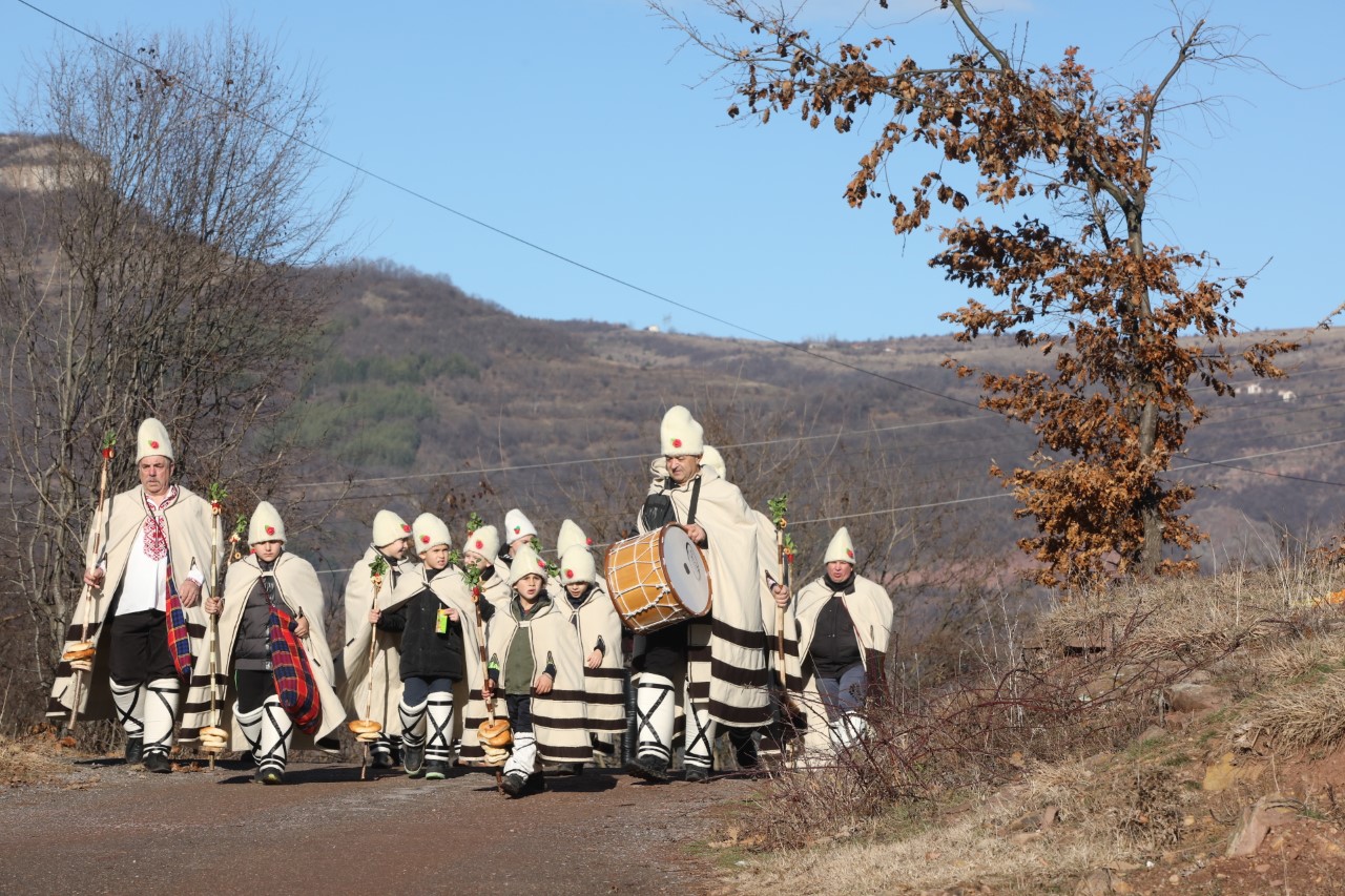Коледари