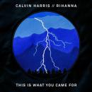 Calvin Harris ft. Rihanna