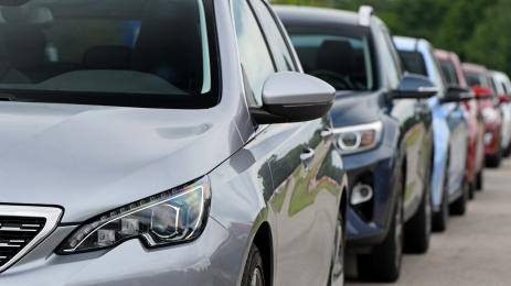 трафик коли