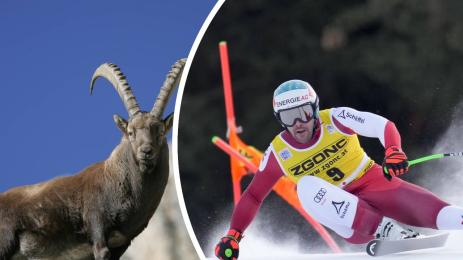 Кирхмайер Бормио Стелвио