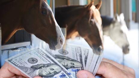 долари коне