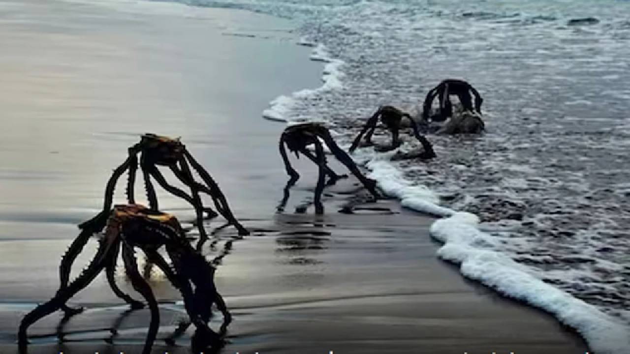 златно време