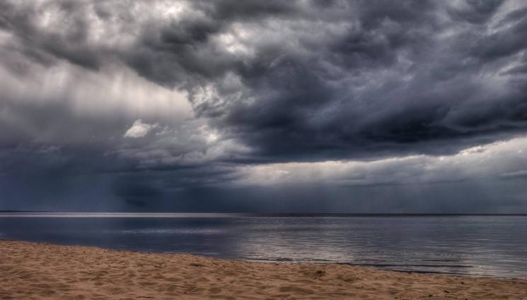 златно време - МИСТЕРИЯ: Морето изхвърля странни създания (СНИМКА)