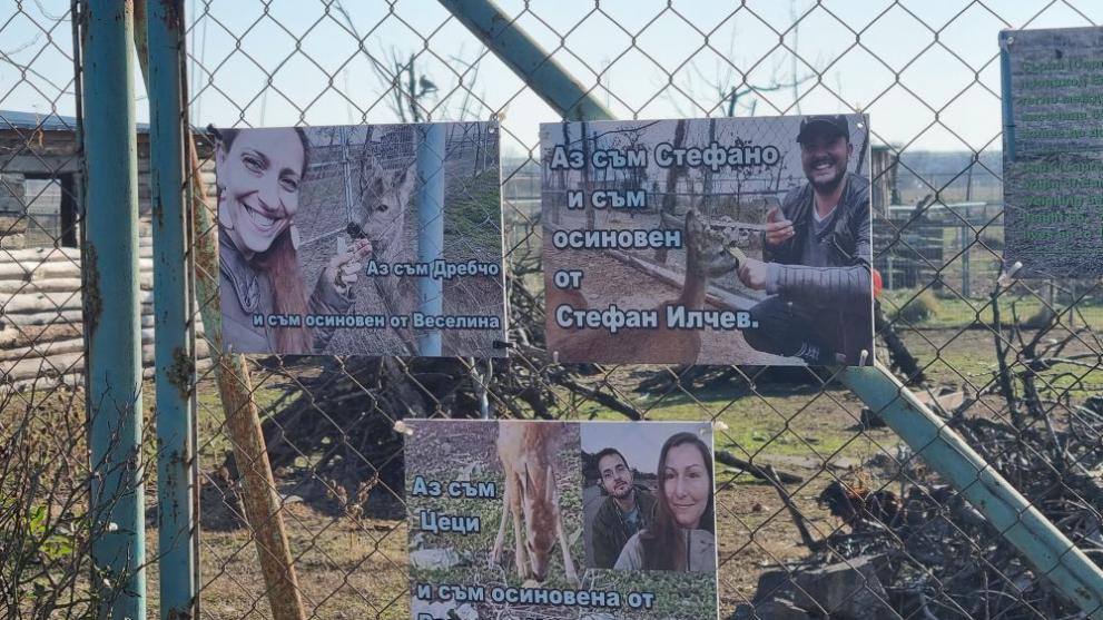  животни Бургас акция 