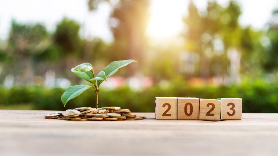 Установено е, че растенията и цветята, освен че носят ползи