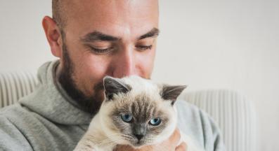 котка и собственик