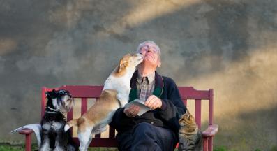 домашен любимец и човек