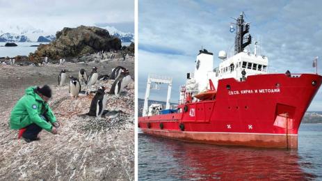 БГ полярници