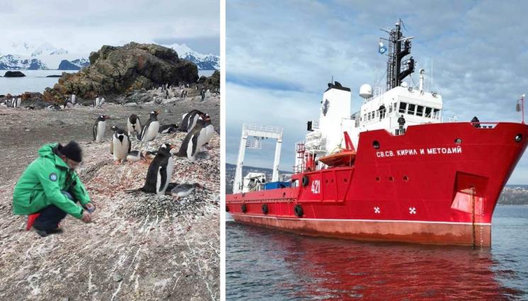 БГ полярници - БГ полярници събират ДНК от пингвини