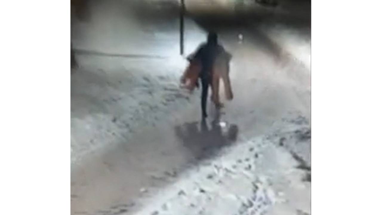 мечка крадец