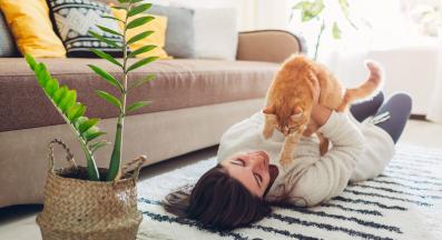 котка играе