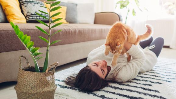 Как да поддържате котката си психически стимулирана