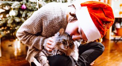 Коледа с котка