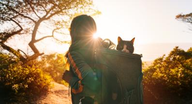 котка и стопанин