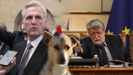 Вежди Рашидов