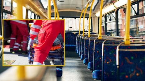 автобус линейка