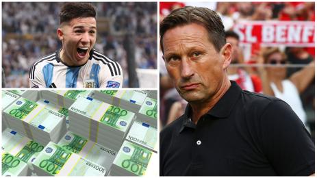 Рогер Шмид Бенфика Енцо Фернандес Челси трансфер