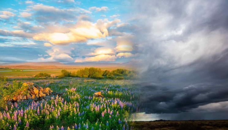 времето - Януарската пролет си отива в понеделник