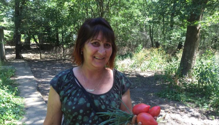 земеделие - Агро Телеграф: Селското стопанство разчита на 60-годишните