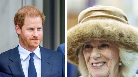 хари камила