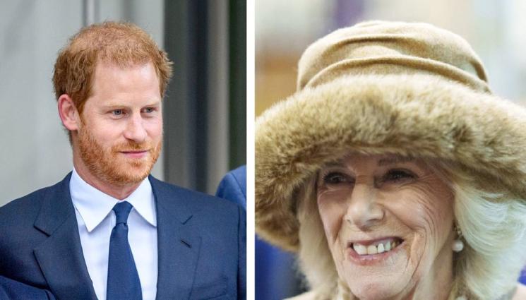 хари камила - СРЕД 50 ЖЕНИ: Избраха Камила за най-влиятелна