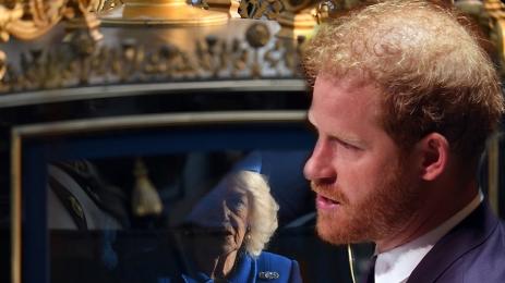 Хари Камила точна