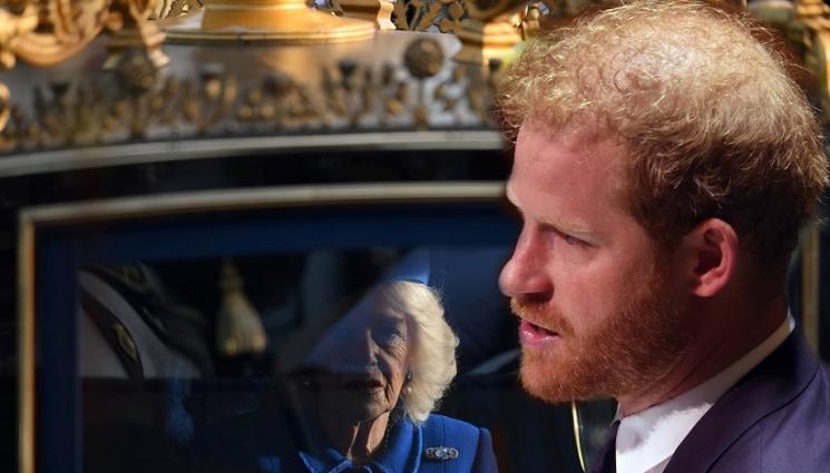 Хари Камила точна - ТЕЖКИ ДУМИ: Принц Хари нарече 