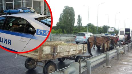 каруца полиция