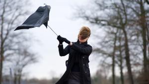 С ветровито време ще започне новата седмица предупреждават синоптиците от Национален