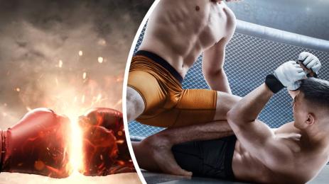 ММА бруталност