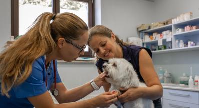 ветеринарен лекар