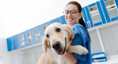 ветеринарен лекар