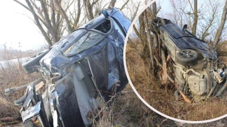 кацнал на едно дърво