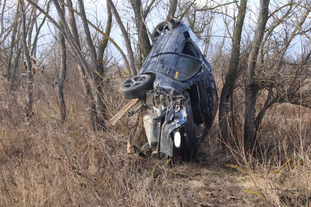 кацнал на едно дърво