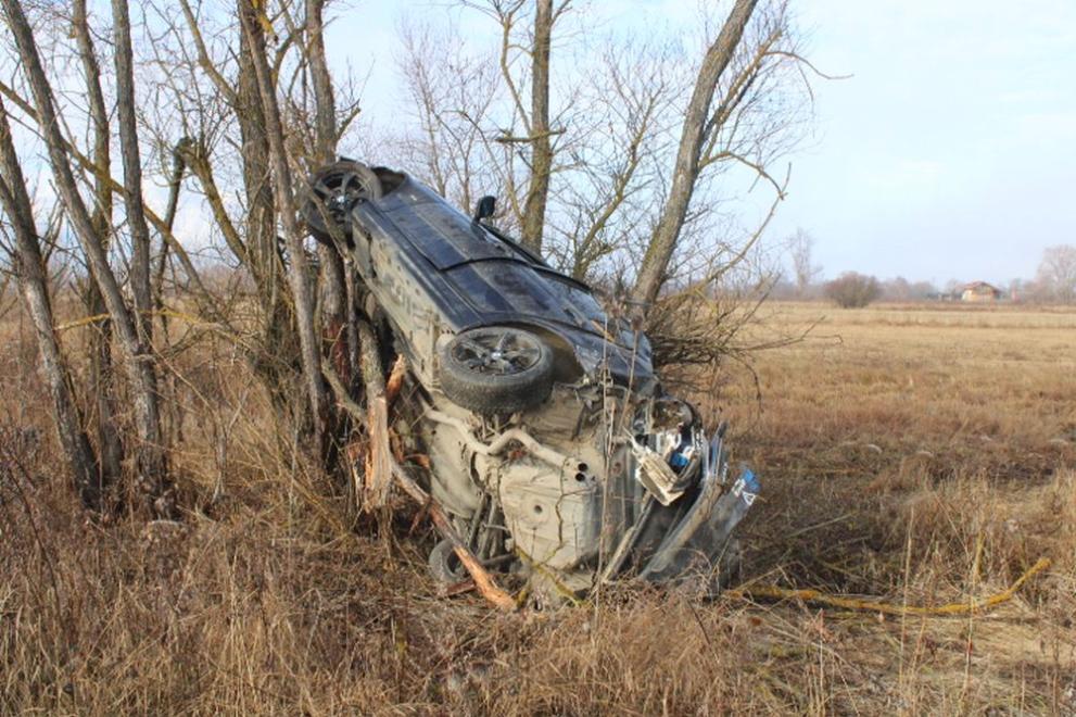 кацнал на едно дърво