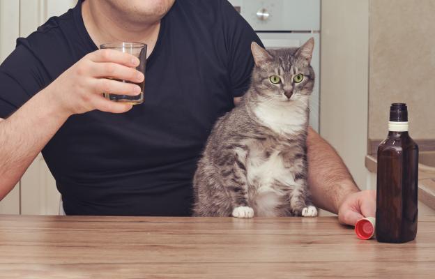 котка и стопанин алкохол